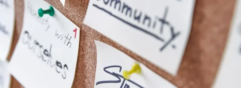 polina zimmerman 3782226